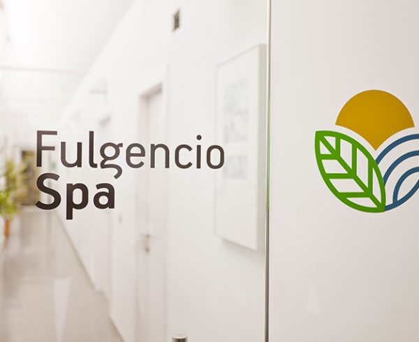 identidad corporativa fulgencio spa