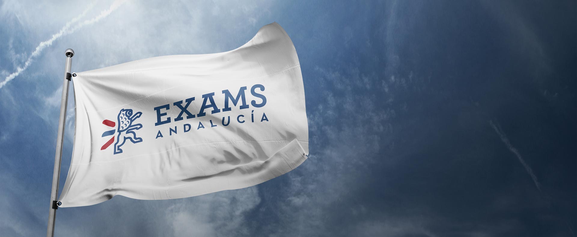 6-exams-logotipo-bandera
