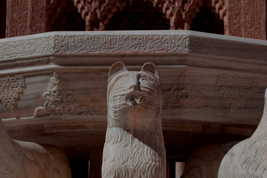 Patio de los Leones