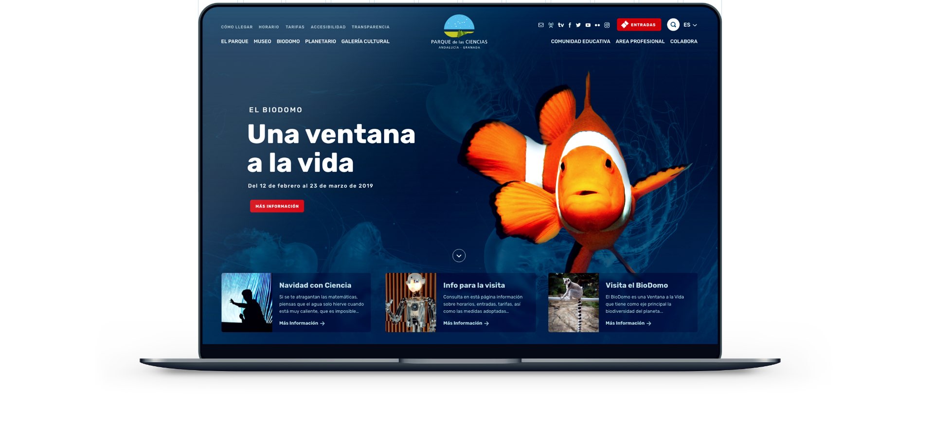 Parque de la ciencias diseño web