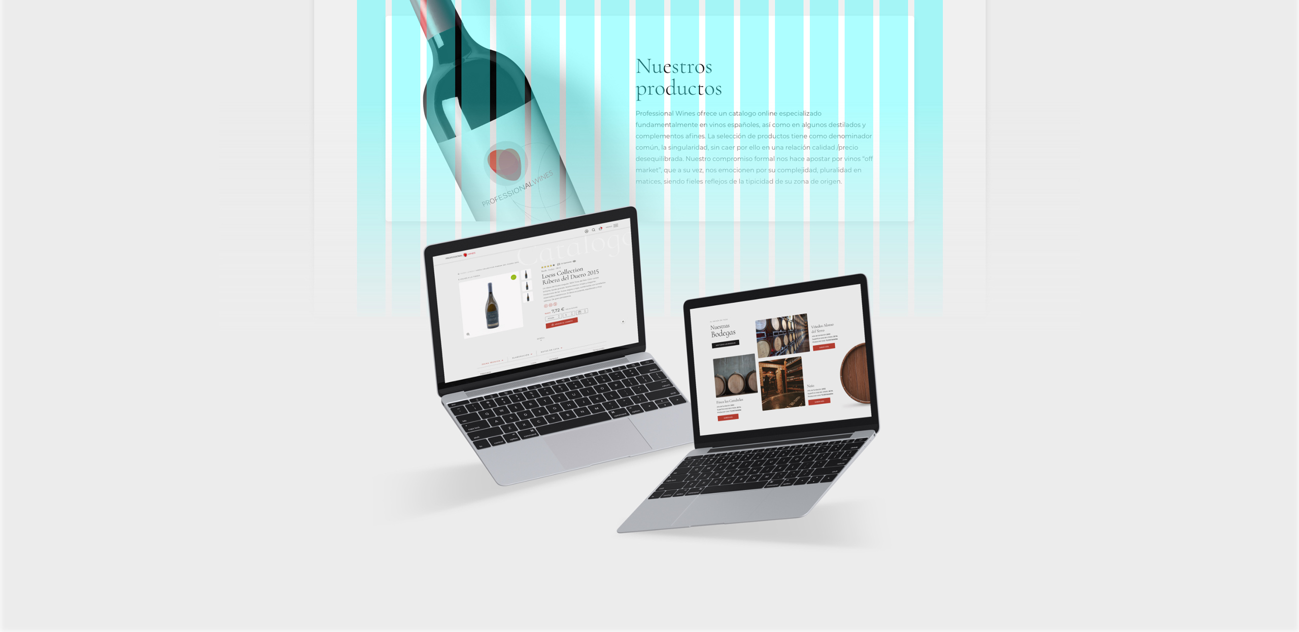 Retículas del diseño web y pantallas de muestra para la marca Professional Wines