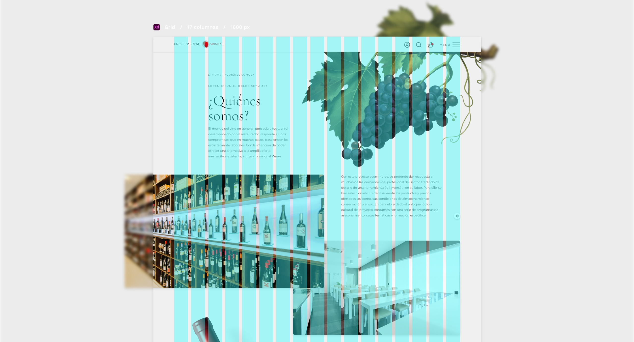 Retículas del diseño web para la marca Professional Wines