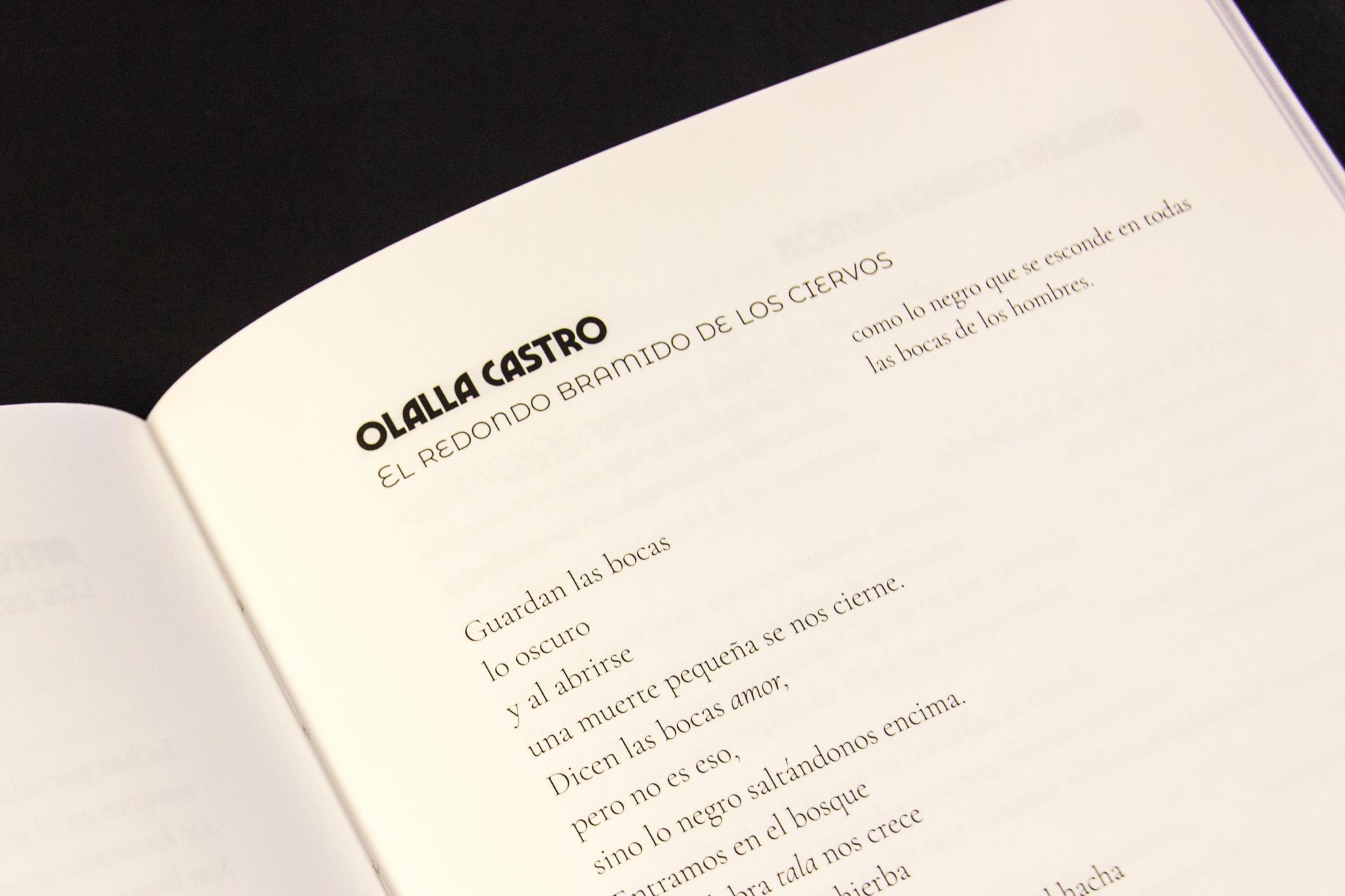 Poesía Olalla Castro