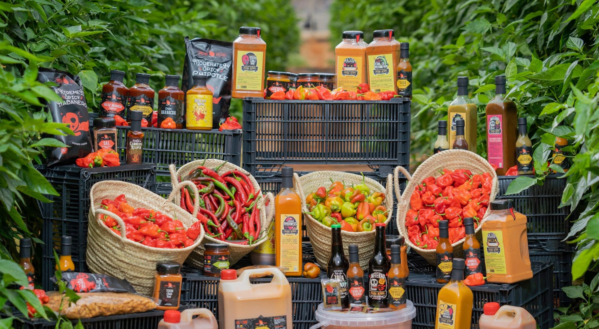 Proyecto de packaging para Doctor Salsas. Estudio de diseño gráfico en Granada y Málaga