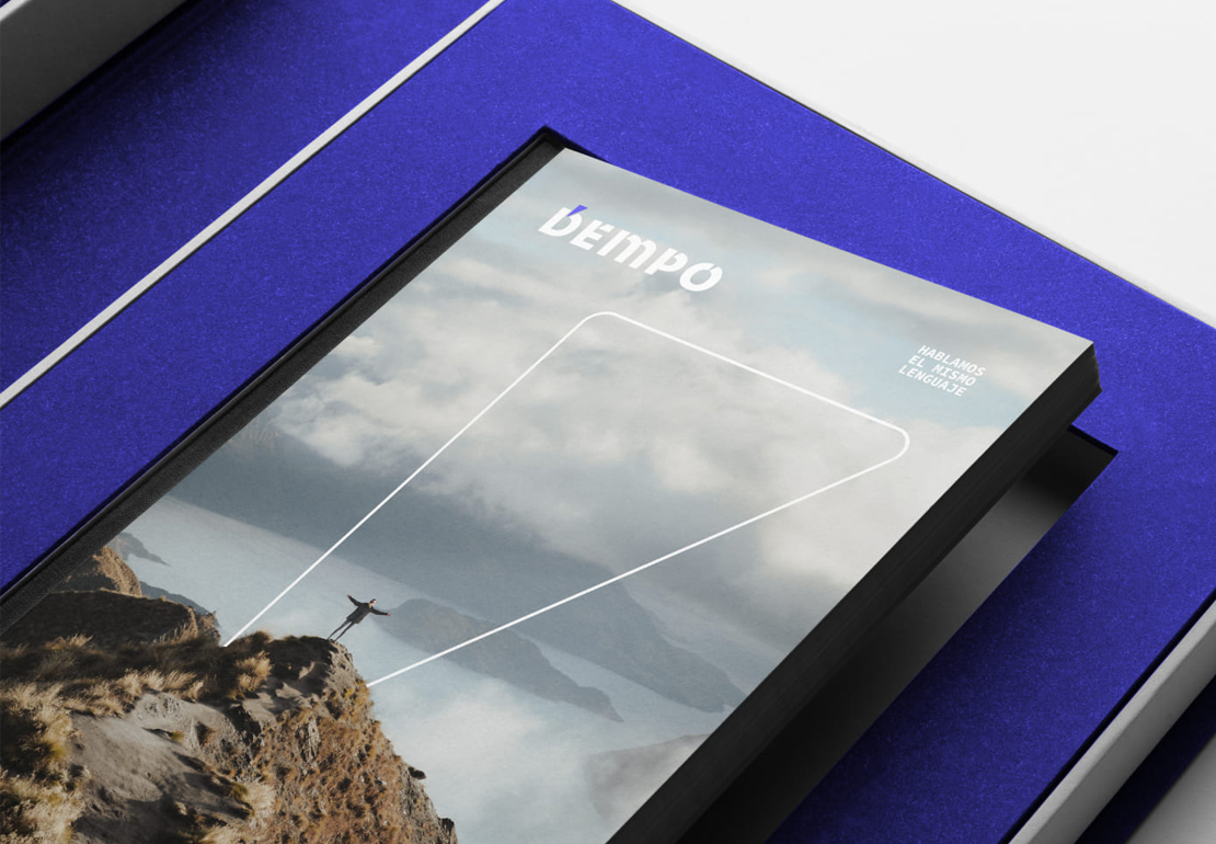 Ejemplo de diseño de identidad visual y logotipo para Dempo