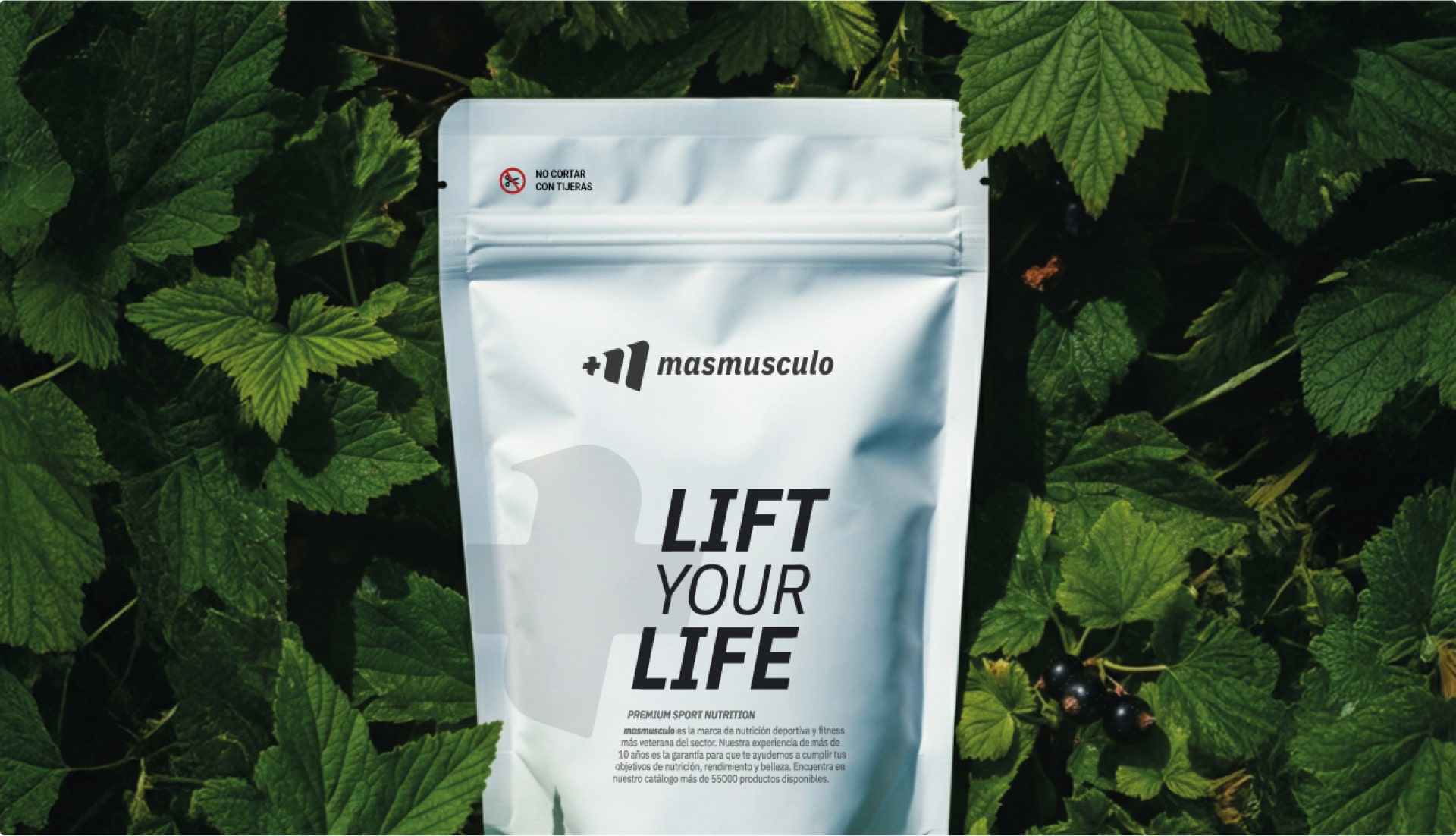 Proyecto de Branding y diseño de marca masmusculo. Estudio de diseño en Granada y Málaga